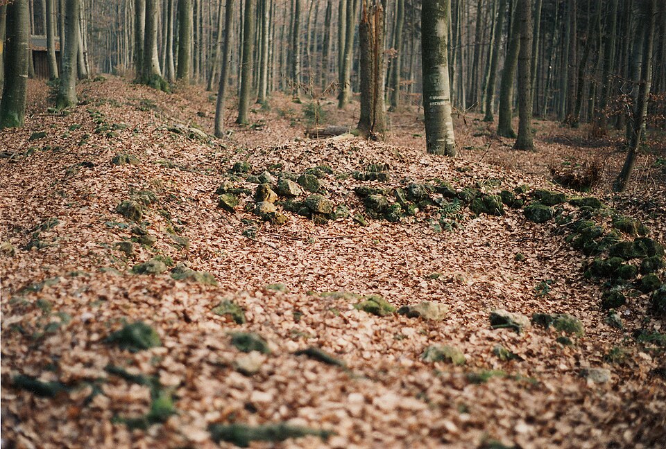 Rätische Mauer am Limes